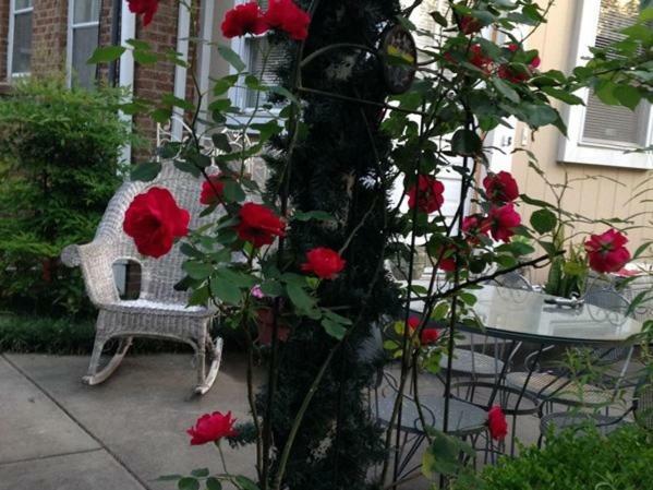 Port City Guest House Wilmington Extérieur photo